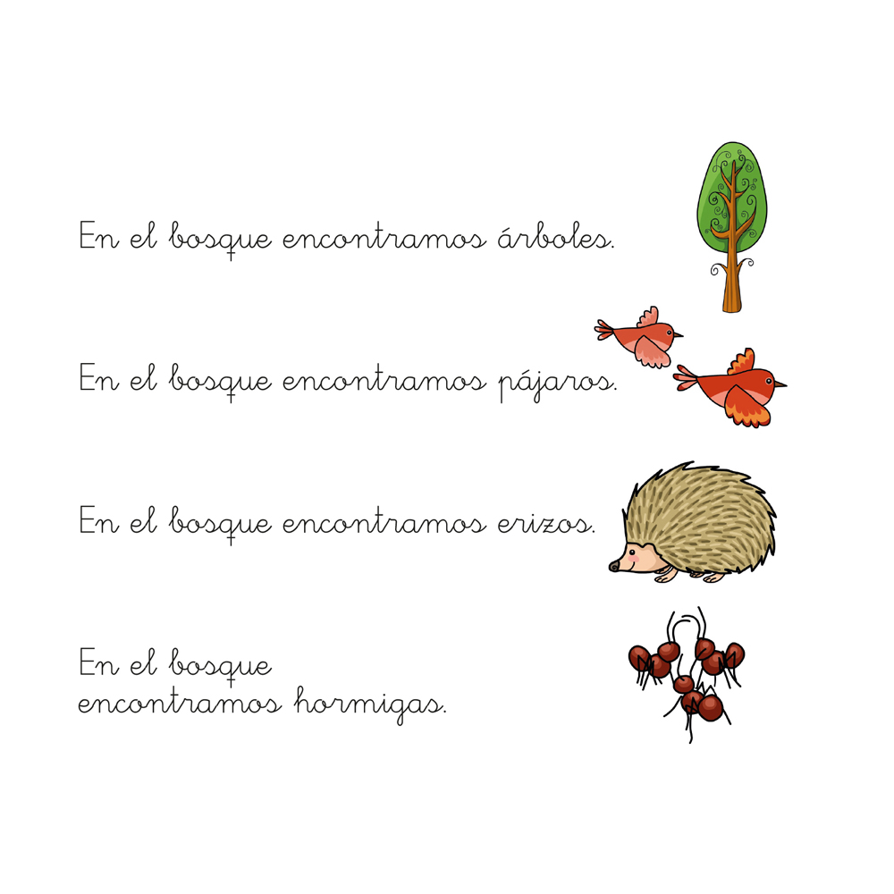 Leer es fácil: 5. El bosque - Imatge 2