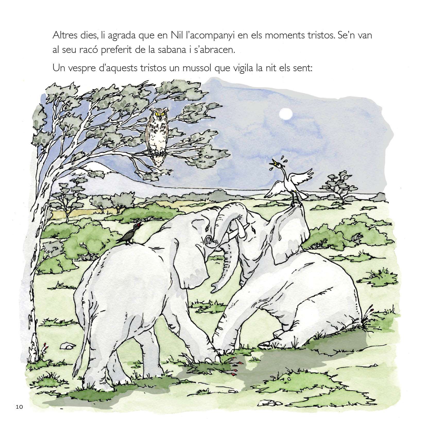 L’elefanta que volia ser mare - Imatge 3