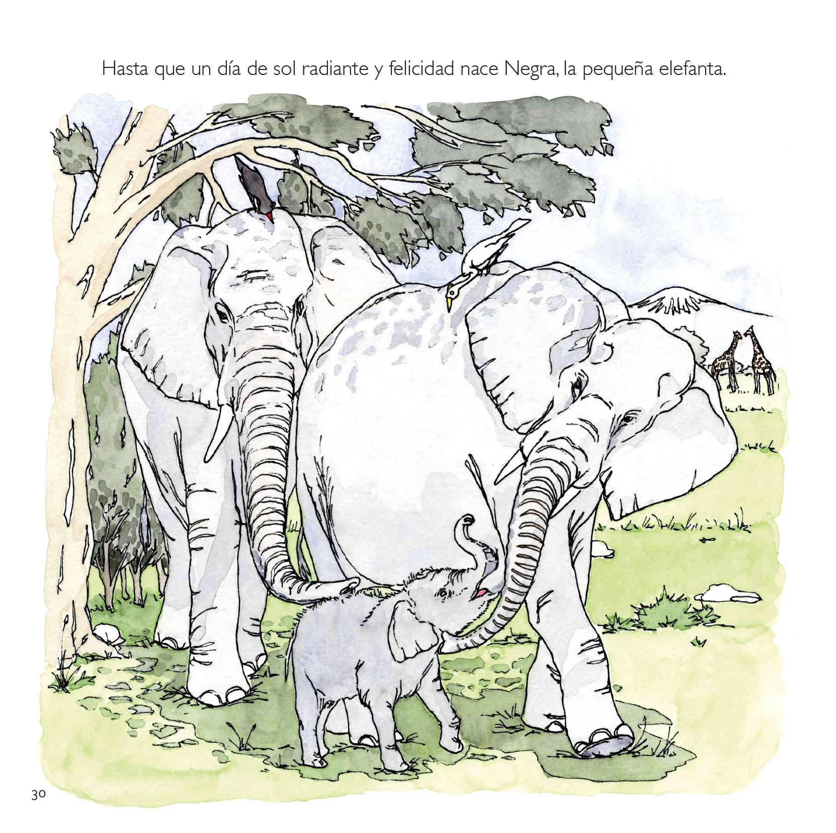 La elefanta que quería ser madre - Imagen 5